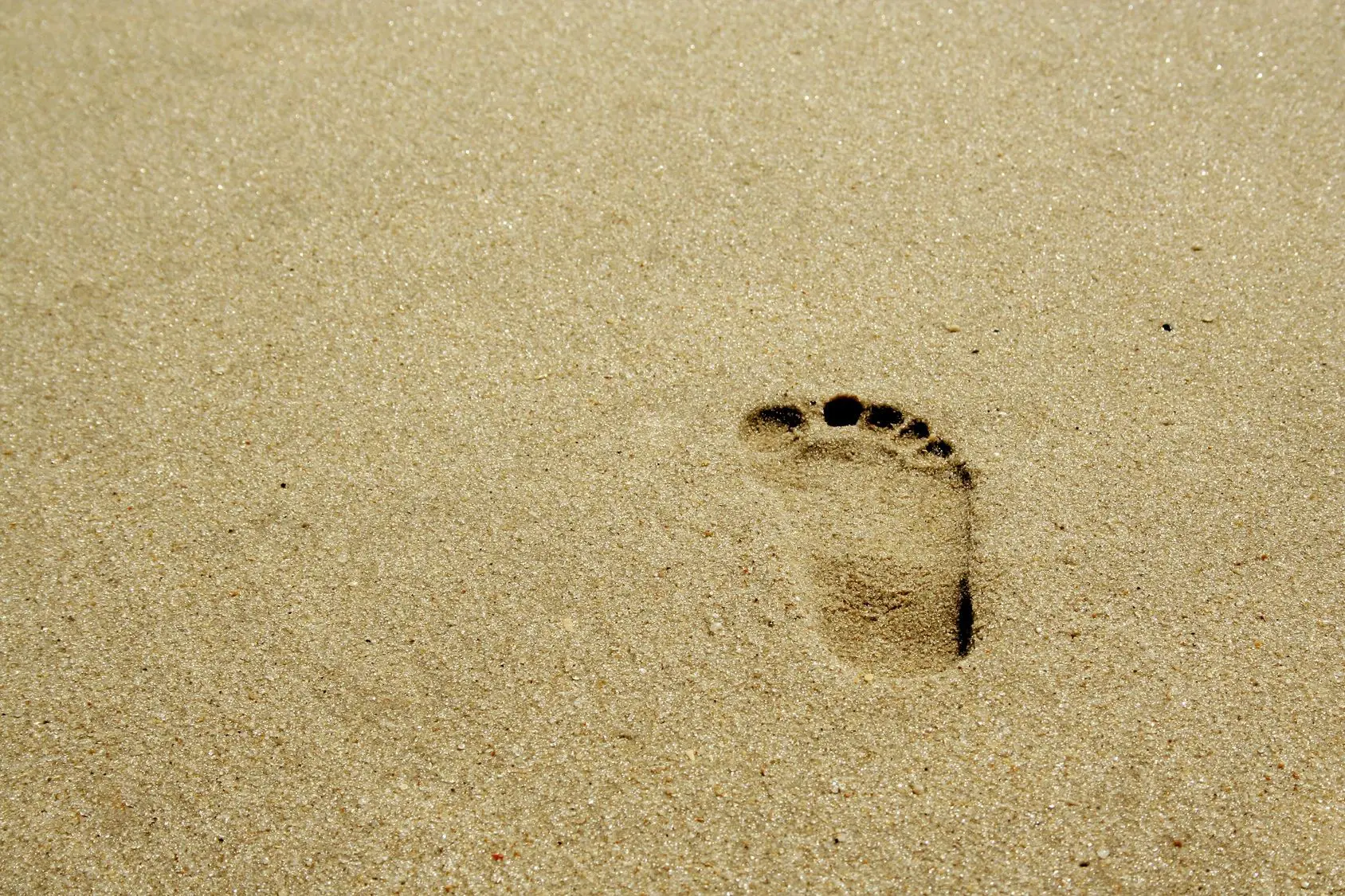 Single human footprint in smooth sand.