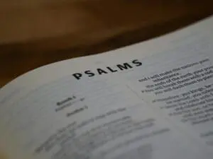 Open Bible showing the book of Psalms with a warm focus.