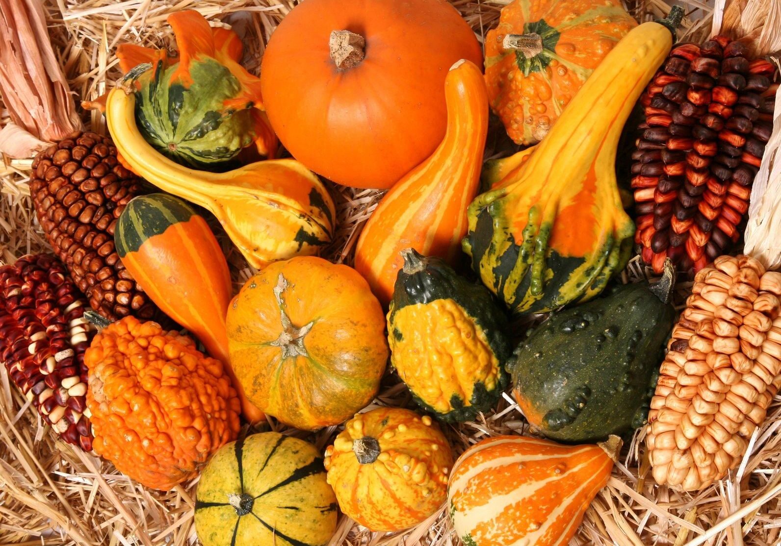 A variety of colorful gourds and pumpkins arranged on a woven surface.