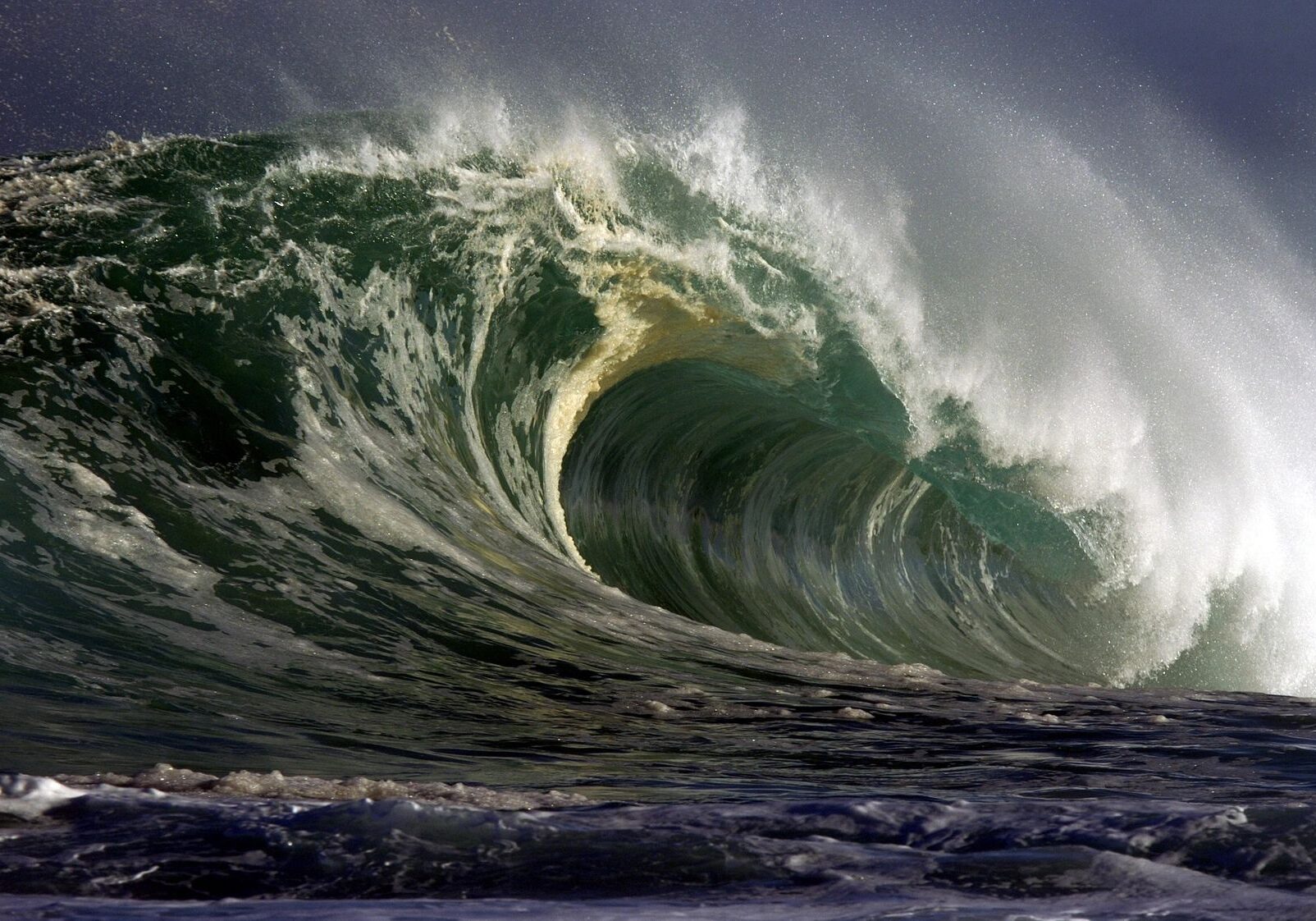 A powerful ocean wave curling with white foam.