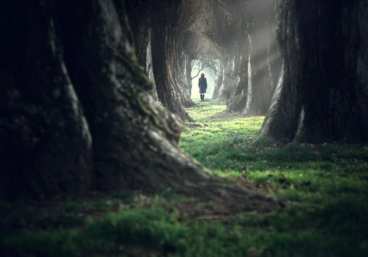 A mysterious figure stands in a tunnel formed by tall trees.