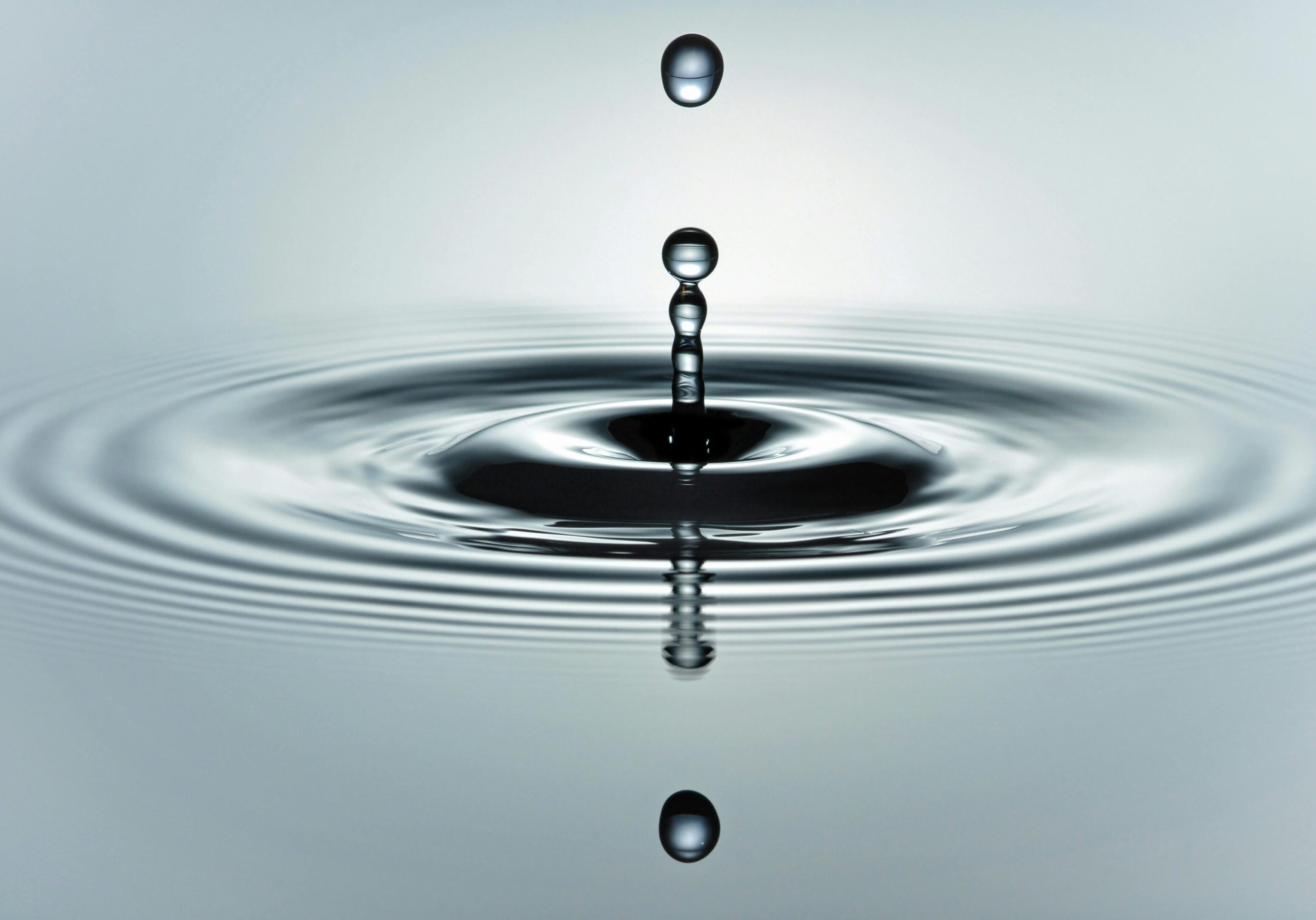 Droplets of water creating ripples on a calm surface.